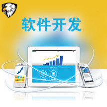 軟件外包服務(wù)全解析 報(bào)價(jià)、收費(fèi)模式與九品制服務(wù)分級