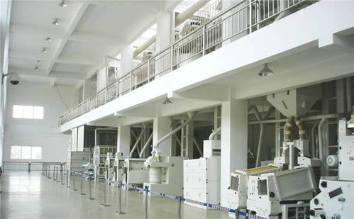 年產10000噸大米加工廠整體規(guī)劃與設備布局設計